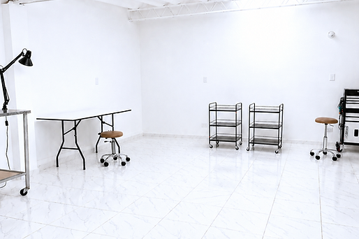 ChatGPT Image 28 abr 2026, 10_36_26 a.m..png