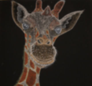 Gerry the Giraffe