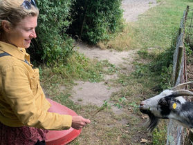 Vi tager ikke arbejdshandskerne af, før der sker noget!