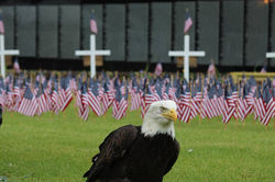 35065585_10157108290318132_618332800788987904_n