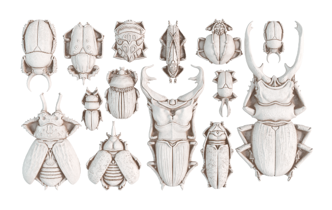 Thumbnail: SPECIMENS MOULD