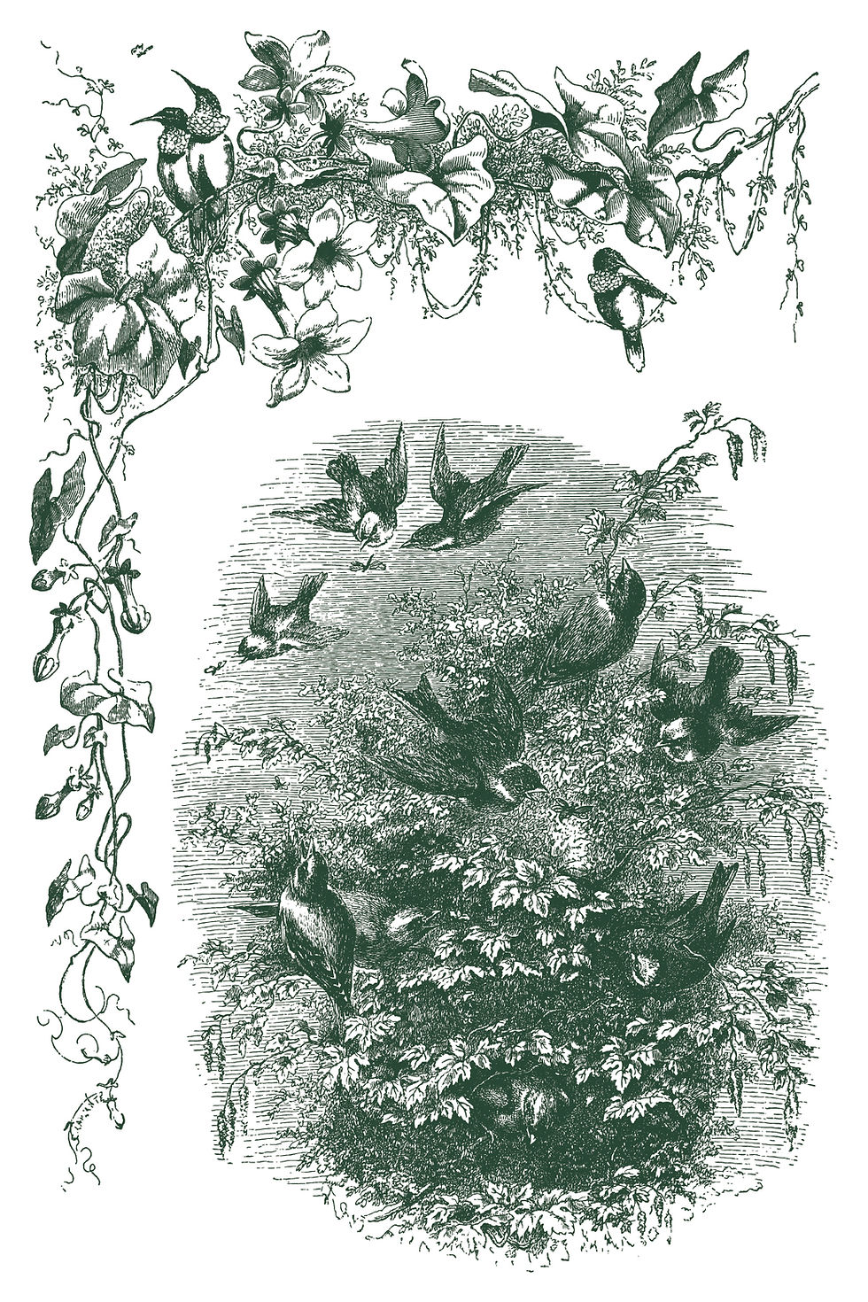Thumbnail: Little Lark Paint Inlay 8X12