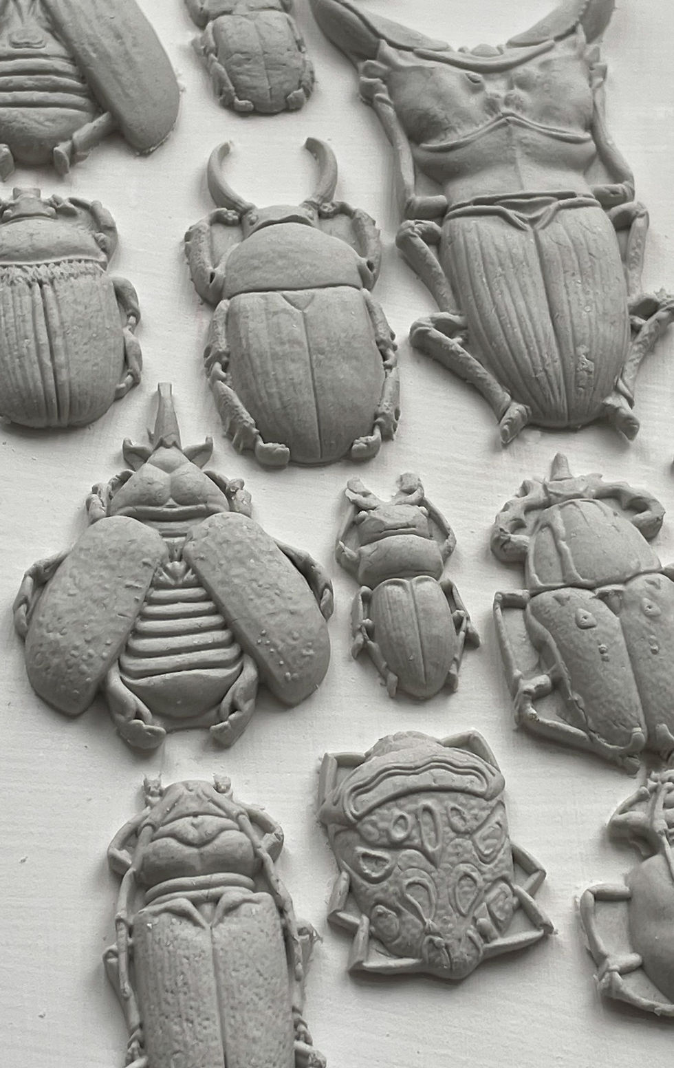 Thumbnail: SPECIMENS MOULD