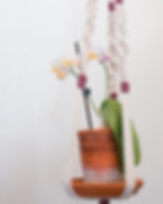 3-strand Plant Hanger