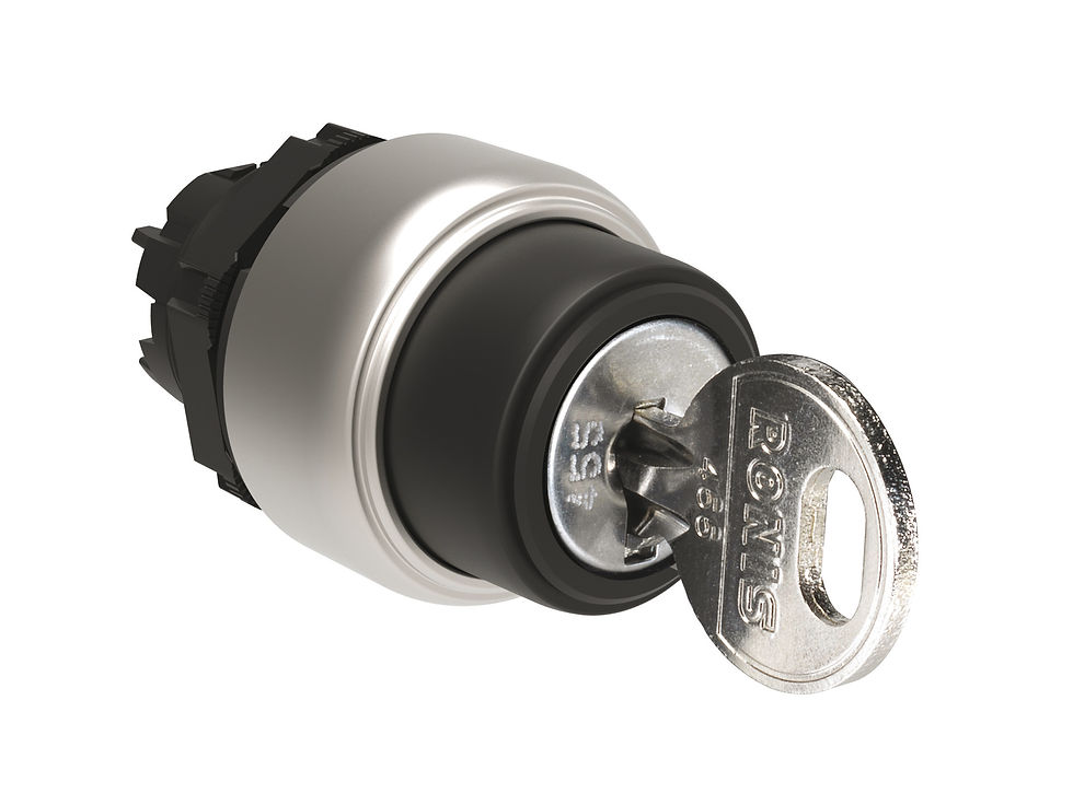 Lovato Electric 22mm Key Switches