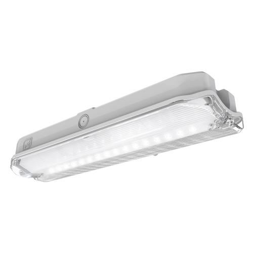 Ansell Lighting Guardian 3W LED Emergency Bulkhead