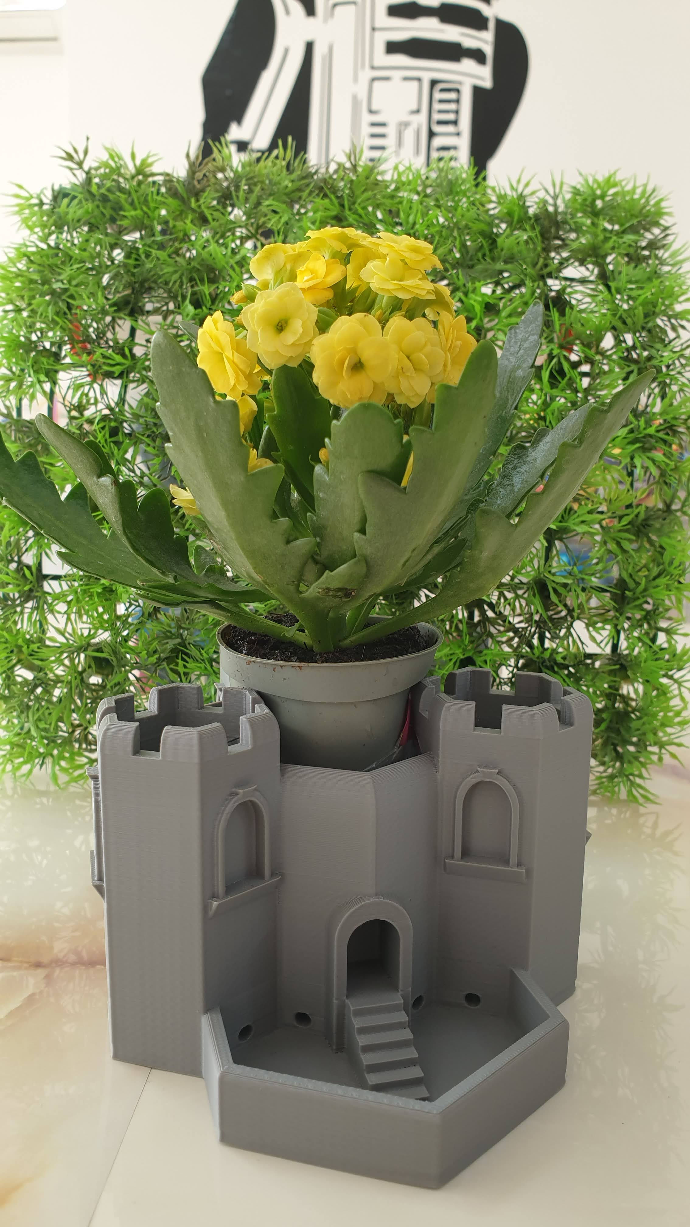 3D Baskı Üç Surlu Sükulent Saksısı