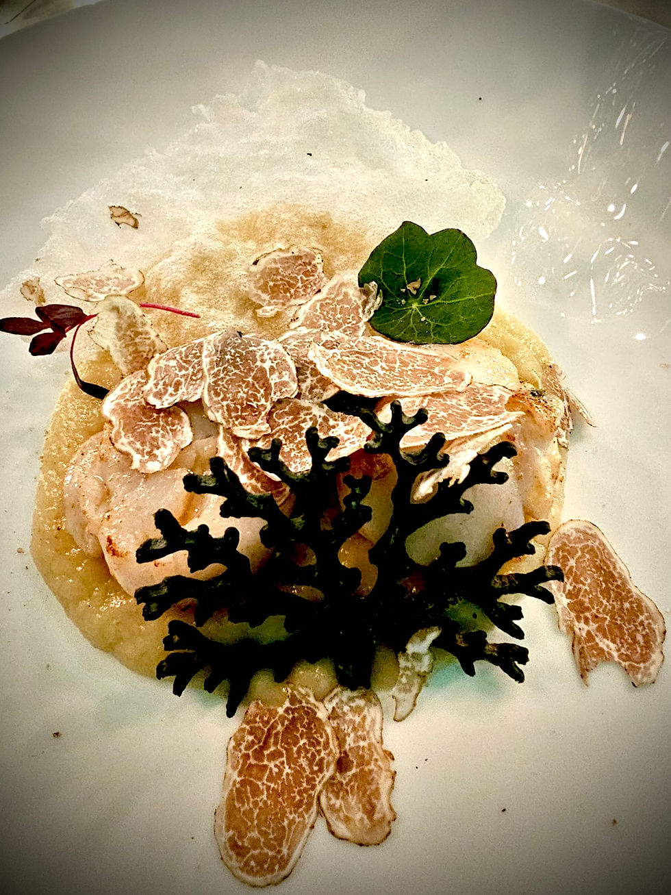 capesante con tartufo bianco
