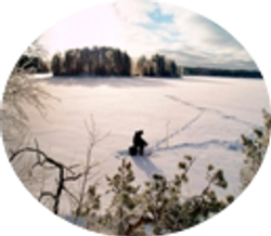 pilkki