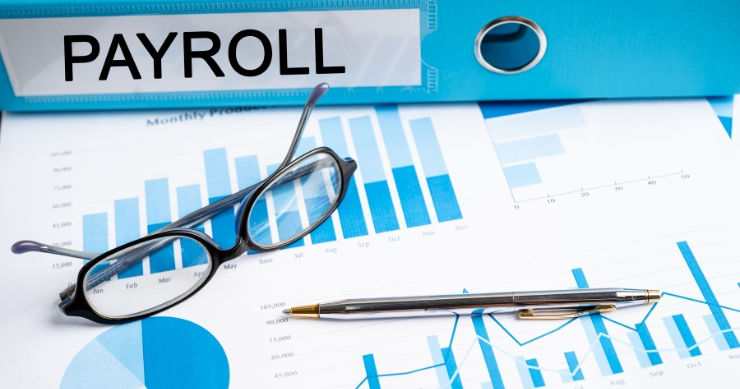 Check Payroll and Employment Records