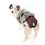 Miniatura: Protector para Pañal & Calor – Perros Hembras