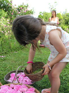 IMG_3653_edited.jpg