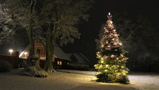 Ørslev Lokalråd tænder juletræet igen i år