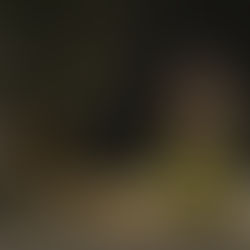 Ørslev Lokalråd tænder juletræet igen i år