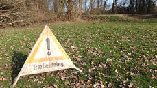 Nu luges der ud i Ørslevskoven