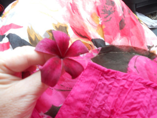 9 The fuchsia flower on my side of the car...from one of my favorite flowers! =) Eden.jpeg