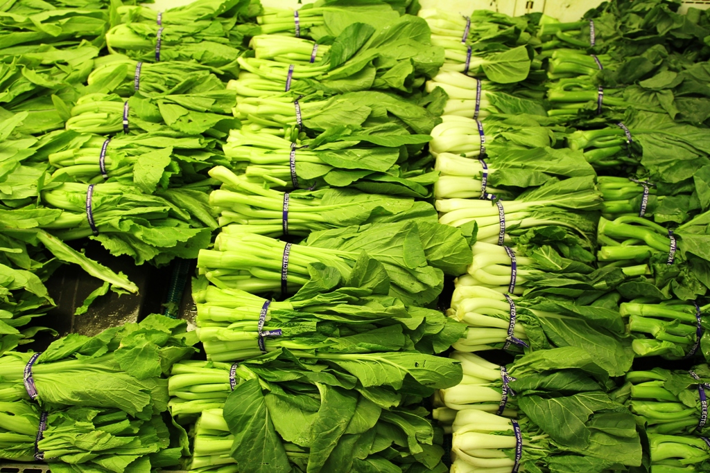Fresh Vegetables
