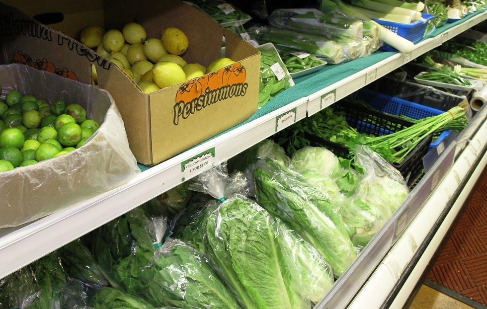 Cabbage & Lettuces