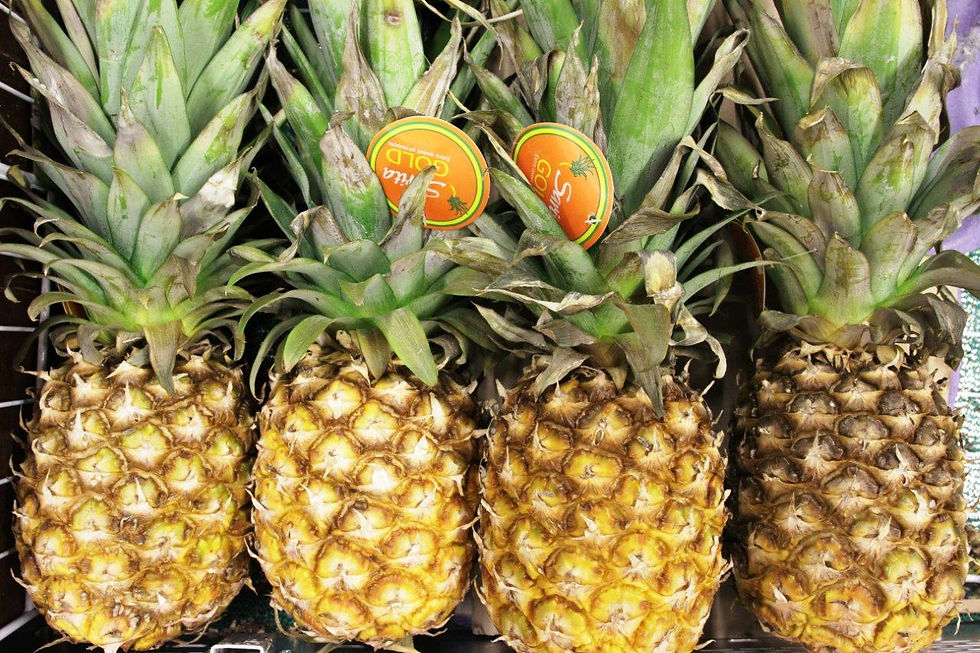 Fresh Pineapples