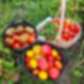 Johnson Brothers Tiny Farm 14.jpg