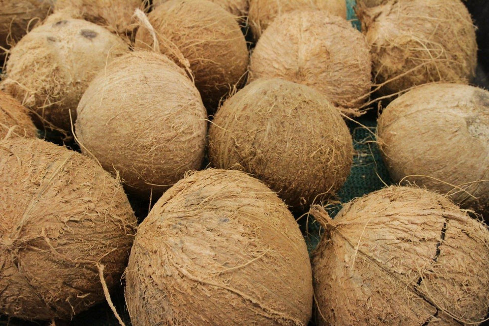 Fresh Coconuts