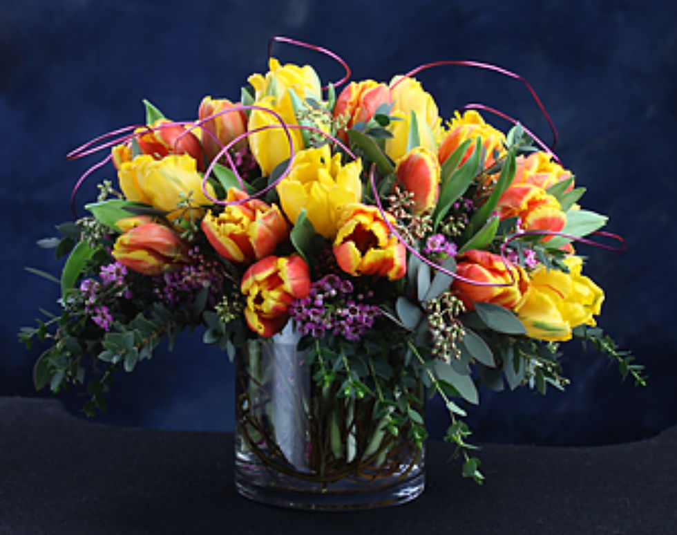 TULIPS Agave Florists