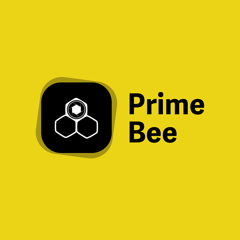 Prime Bee yewoll.jpg