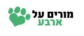 מדברים פלוס