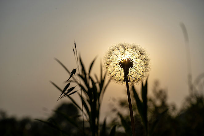 iStock-2154838665.jpg
