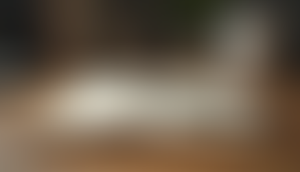 Unveiling the Philosophy of Healed University: Emotional Healing Principles for Transformative Leadership