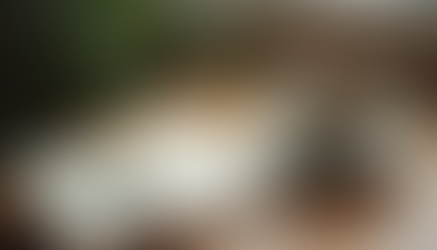 Healing Journey: Embracing Your Path to Inner Peace