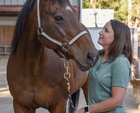Equine Therapy Horses for Healing