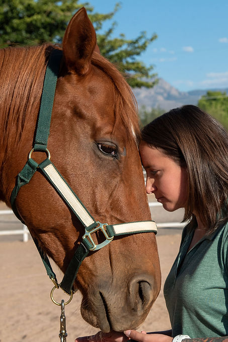 Horses for Healing Veteran programs
