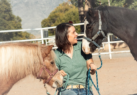 Horses for Healing Contact Us