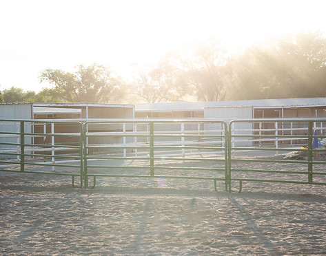 Horses for Healing Individual Support