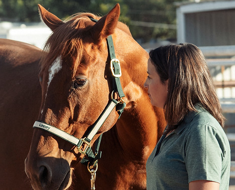 Horses for Healing Veteran Services