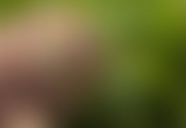 Be curious not furious