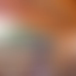 I sold the building, Teddy is (sorta) gone! 