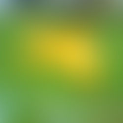 Vulnerability and on picking up yourself