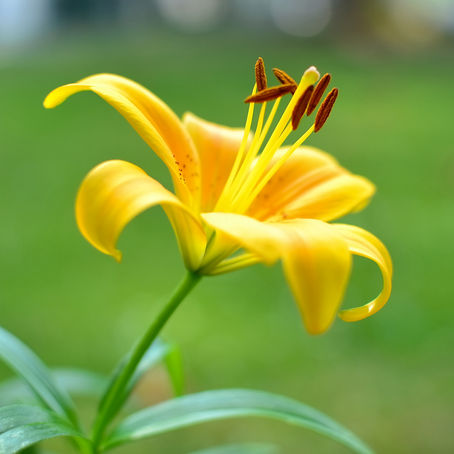 Vulnerability and on picking up yourself