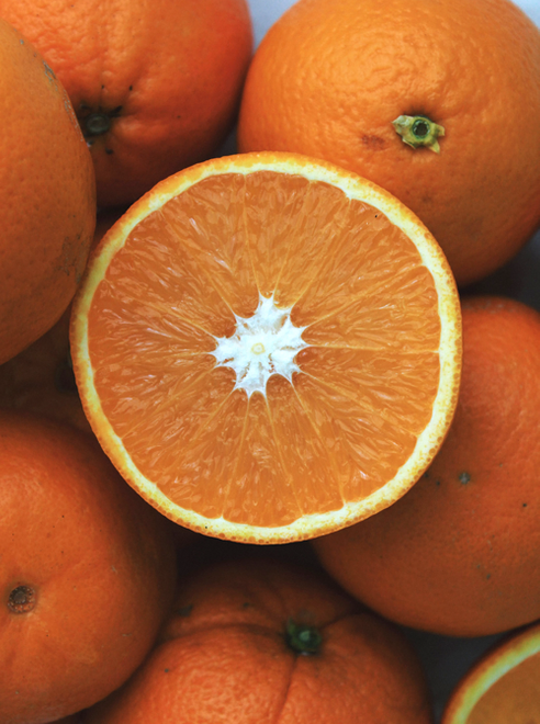 Ginscape Orangen