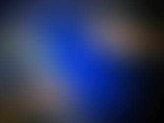 Cristea Arben, morto dissanguato dopo un tentato furto: «È rimasto infilzato in una recinzione elettrica. Era irregolare e aveva diversi precedenti»