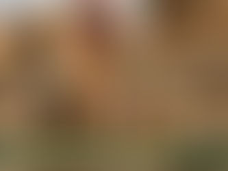 Una “normale” giornata di Guerra... perchè è questo che succede quando il paradigma penetra il sottile tessuto di un conflitto. (dr.ssa Bellomi Daniela)