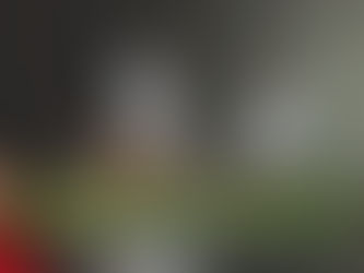 La responsabilità del professionista come figura pubblica e autorevole: profili deontologici, comunicativi e giuridici nei fenomeni di cyberbullismo stalking e diffamazione (drssa MARIA GAIA PENSIERI)