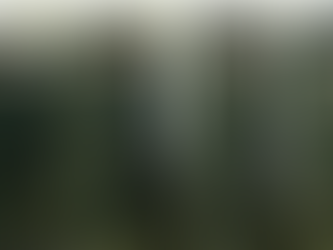 Russia, le «vedove nere»: matrimoni fittizi con i soldati single per ottenere soldi dopo la loro morte. Ma le famiglie non ci stanno