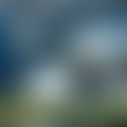 Business Intelligence (BI), Professionisti, Semantica e Limiti! (dr.ssa Bellomi Daniela)