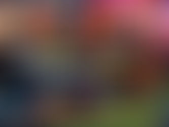 Security & Safety eventi Pubblici e Locali (di Danilo Bellardini)