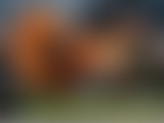 Guardando “Oltre il Meditteraneo”...USA e IRAN.E, guardando, Oltre, in una Terra di Mezzo... (dr.ssa Daniela Bellomi)