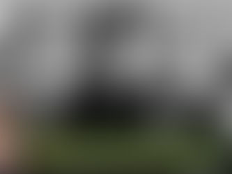 “GIROLIMONI" Quando il mostro lo costruisce la stampa Analisi criminologica e critica del meccanismo mediatico-giudiziario nell'Italia fascista (Dr.ssa BERARDINETTI MARIANA)