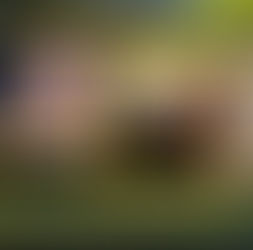Pamela Mastropietro e Pamela Genini: quando il cadavere diventa la scena del crimine (dott.ssa Mariana Berardinetti)